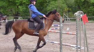 Mattéo - CSO (70 cm) - Nosica - La Vaillantière - 07/05/2017