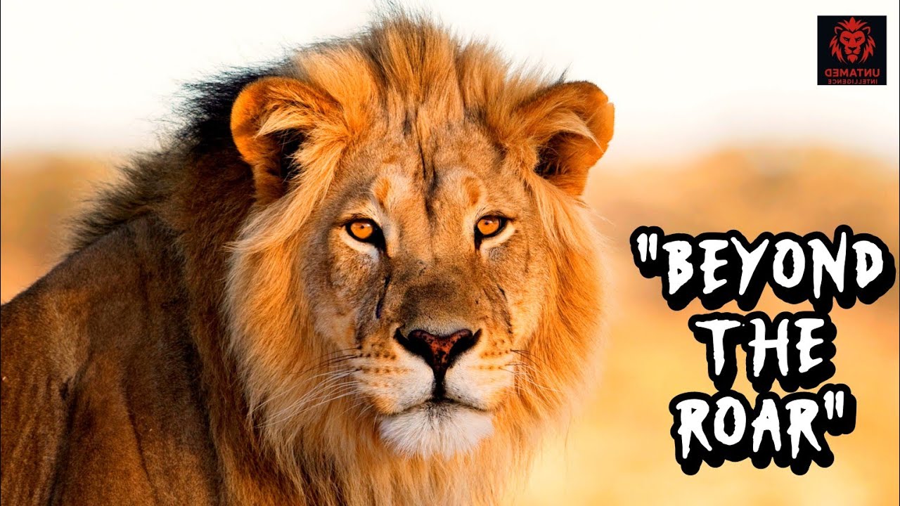 Uncover 10 SHOCKING lion facts that reveal their true power