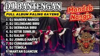 DJ BANTENGAN VIRAL FULL ALBUM MBEROT TERBARU | DJ Mandek Nangis | DJ Selendang Biru | MBEROT 2024