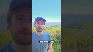 Act Now: Protect the Roadless Rule