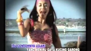 KUCING GARONG house denada @ lagu dangdut