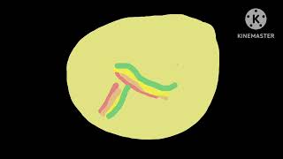 Salt Cover Logo 1978