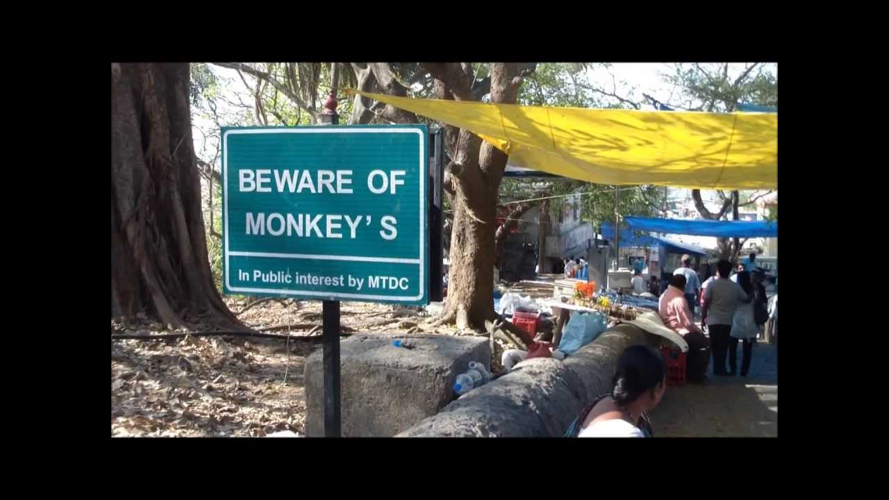 Philadelphia University MBA India Trip 2013 - YouTube