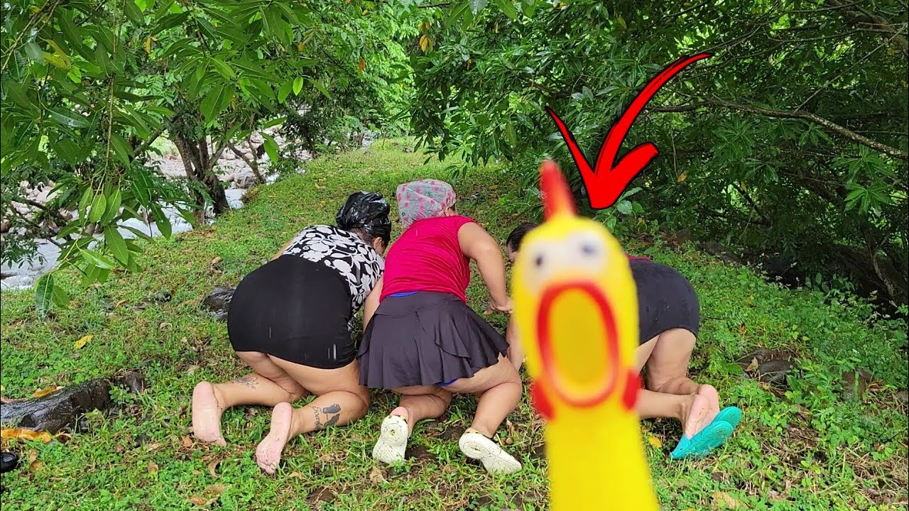 🔴-juego bajo la lluvia ☔️ 🍑les presentamos a don pollo😅