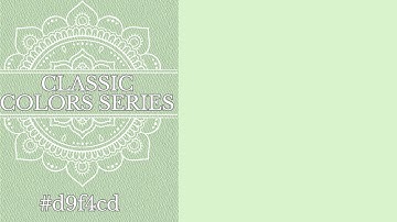 [MISTY SPRING] — 4K Solid Color Background (1 Hour Loop) | Digital Visual Display