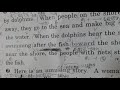 【ティッシュの英語教室】易しめの文章をきちんと読む習慣をつけよう【長文読解】