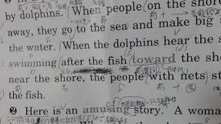 【ティッシュの英語教室】易しめの文章をきちんと読む習慣をつけよう【長文読解】