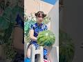⌇ まずは、日頃のトレーニング!スイカ割り編!Started our summer watermelon smashing🍉#スイカ割り #頭突き #空手 #夏