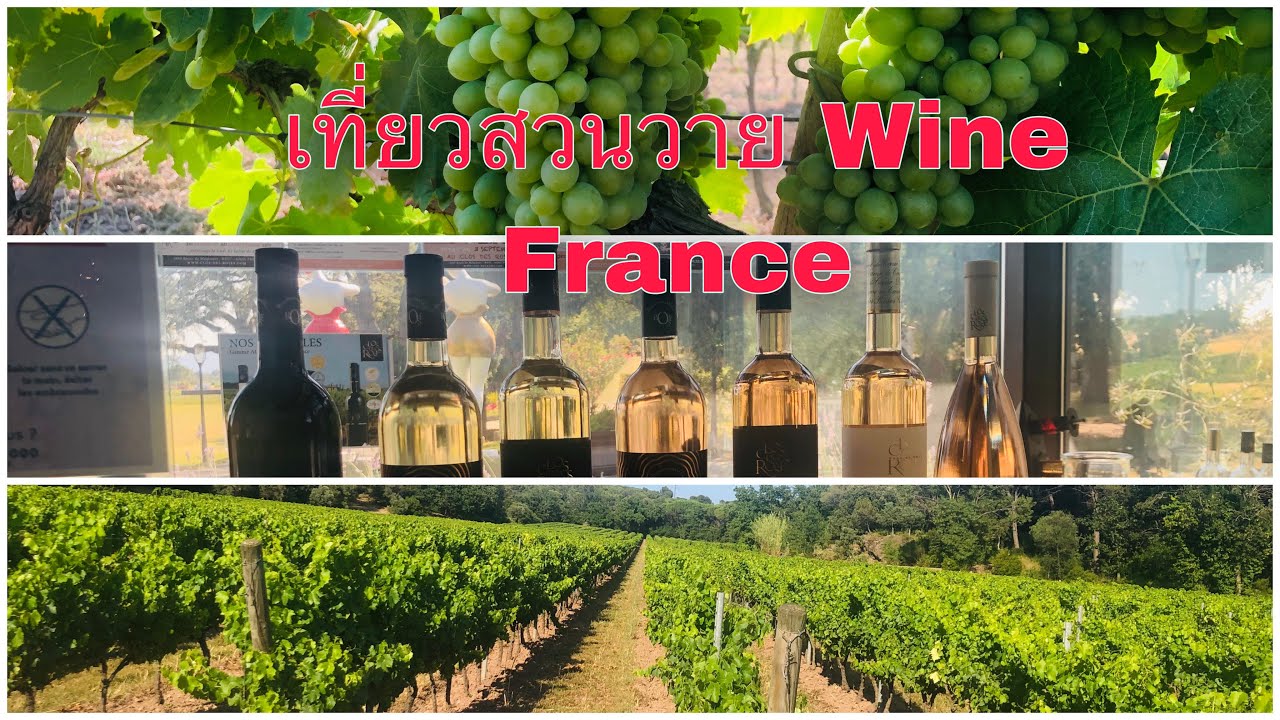 เที่ยวสวนวายWineSouth France YouTube
