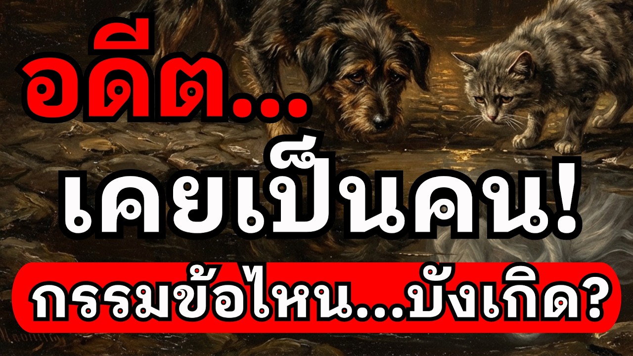 อดีต...เคยเป็นคน! เปิดความลับกรรมข้อไหน? ที่ทำให้ต้องมาเกิดเป็นสัตว์