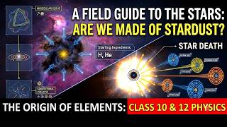 Are We Made of Stardust 🌌 Stellar Evolution & Origin of Elements | Class 10/12 Physics