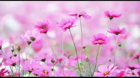 تلاوة خاشعة ومميزة للشيخ ناصر الغامدي اول سورة ق