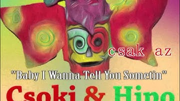Csoki & Hipo: Popsztár AKA Baby I Wanna Tell You Somethin (#14)