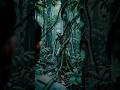 scary things in jungle | #horrortok #terrifyingtales #night #scary #horror #ghostlyadventures