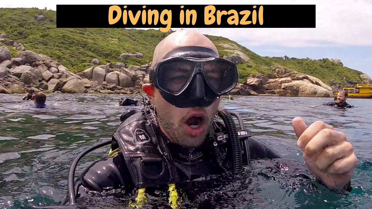 Best Place To Scuba Dive In Brazil? Arvoredo Island, Florianópolis YouTube