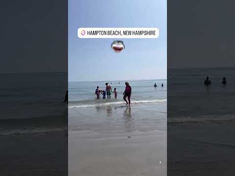 Shark Watching In New Hampshire