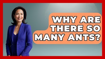 Why Are There So Many Ants? - Insects and Invaders
