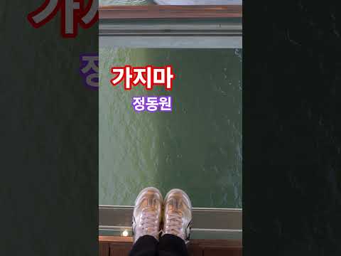 #가지마 #정동원 #한강 #트로트 #가요 #미스터트롯2 #Shorts