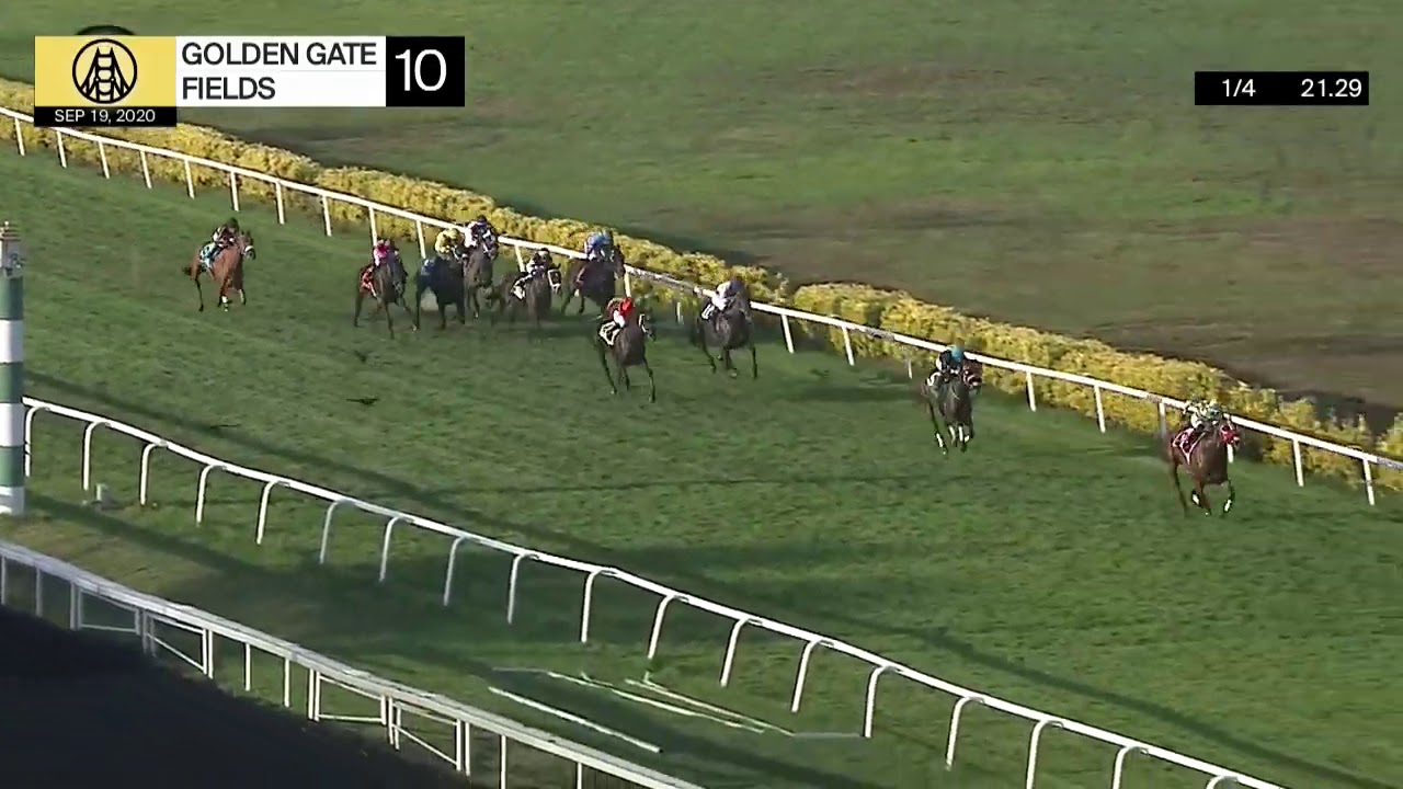 Golden Gate Fields Carrera 10 19 De Septiembre 2020 YouTube golden-gate-fields-carrera-10-19-de-septiembre-2020-youtube