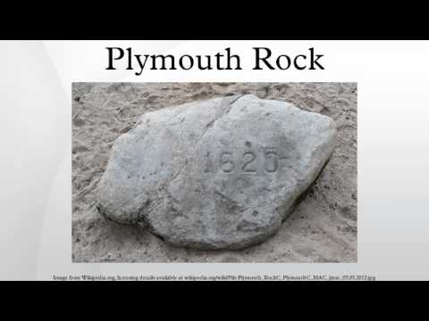 plymouth rock