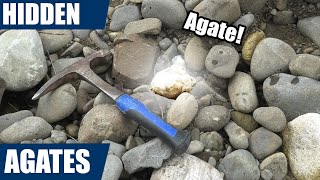 Agate / crystal hunt in a New Zealand river - plus I cut some of the finds