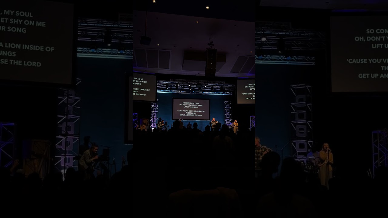 Lion lungs 🦁  #adoration #worshipmusic