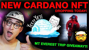 Cardano NFT Dropping TODAY! Yeeti Yeti! CNFT Project That GIVES BACK! FREE Mount Everest Trip?!?