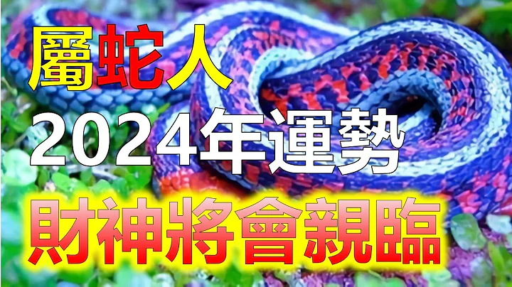 2024生肖運勢，2024屬蛇財運爆棚，屬蛇朋友2024年將是好運之年！屬蛇人貴人與財運將無限機會和豐厚財富！中國傳統的農曆演算法，西元2024甲辰龍年，十二生肖好運排行榜，是屬於生肖蛇的年份 - 天天要聞