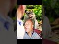 Monkey fight gone wrong #money #fight #traveling #park #2022 #zoo #wildanimal