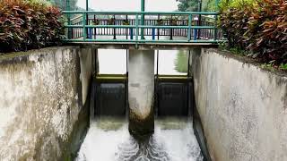 Smart Irrigation Management Using AI and IoT for Seasonal Water Allocation