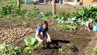 Семья Бровченко. Сбор картошки и уборка урожая (часть 1) (09.15г.) Семья Бровченко. Сбор картошки и уборка урожая (часть 1) (09.15г.)