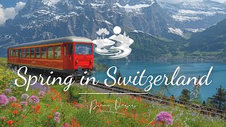 : Soothing Relaxation Music For Spingtime  Beautiful Piano Music | The Eiger Mountain In Switzerland