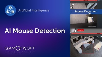 Custom AI Video Analytics: mouse detection