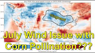 Aug 24, 2026: Corn Pollination Issues Because of No Wind | Southern Plains Heat Wave Continues...