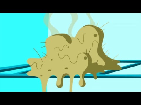 Les Zinzins De L Espace LE NOUVEAU REPAS Episodes En HD