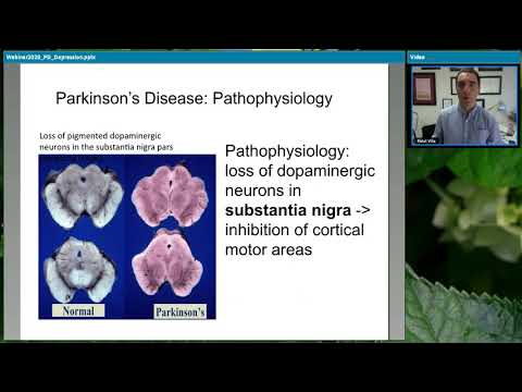 Video: Parkinsons Og Depression: Årsager Og Behandlinger