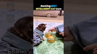 Ranking BEST CAT INTELLIGENCE Core Moments!! 🐱🤓