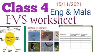 class 4 EVS worksheet 15/11/21
