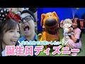 シルクくん！お誕生日おめでとうディズニー🐭🎡♡