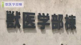 麻布大学 獣医学部棟