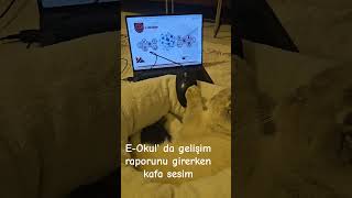 #eokul #karne #gelişimraporu #kedivideoları #cat #komikkedivideoları #kedivideoları #parodi #ironi