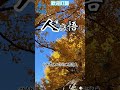 人生感悟:大半輩子忙忙碌碌,晚年才明白「舒服」比什麼都重要#倪海廈 #读书 #健康 #中医健康 #中医课堂