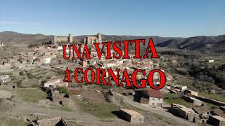 UNA VISITA A CORNAGO