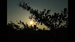 The Right Journey(Beat)