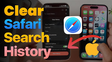 How to Clear Safari Search History on iPhone and Delete Website Browsing Data on iPhone or iPad?