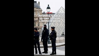 Interpol's race to find stolen Louvre jewels