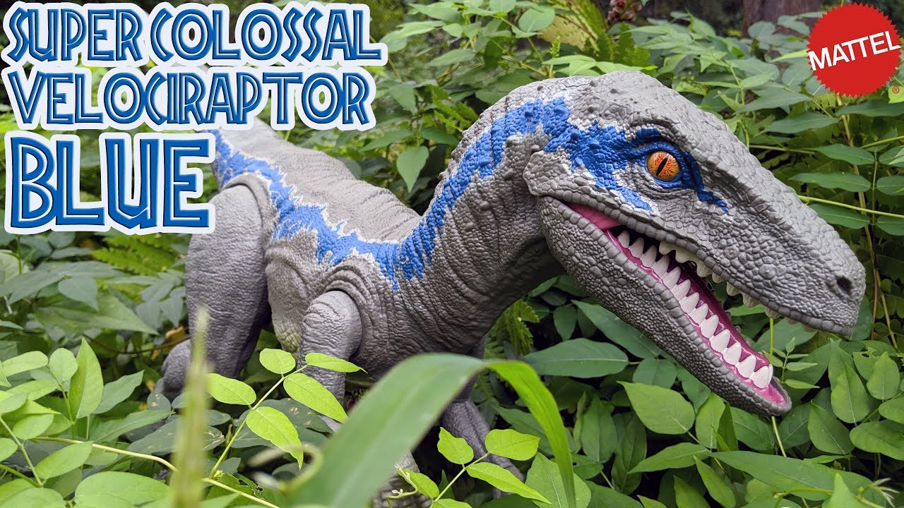 Super Colossal Velociraptor Blue By Mattel Jurassic World Dino Rivals Fixed Audio 4k Youtube