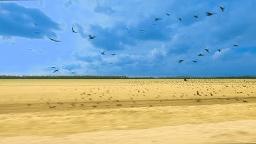 Road to Kurakhove [LITHUANIAN AID TO UKRAINE WARFRONT]