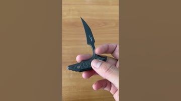 Microtech knife bee plain edge DLC