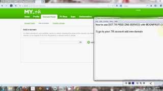 how to use dot.tk free DNS service with moonfruit.com